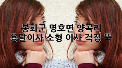 봉화군 명호면 양곡리 용달이사: 소형 이사, 걱정 뚝!