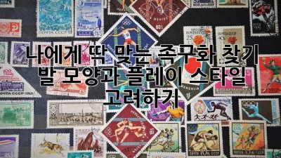나에게 딱 맞는 족구화 찾기: 발 모양과 플레이 스타일 고려하기